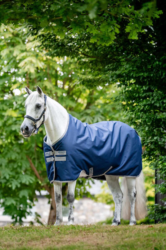 Horse Rugs